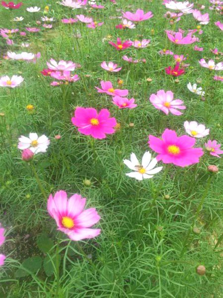 Beautiful Nature image