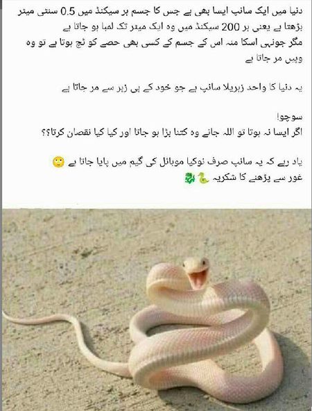 Jokes image
