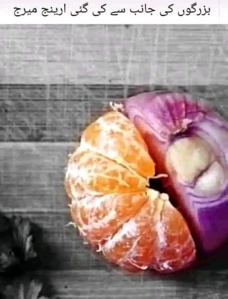 Memes & Satire image