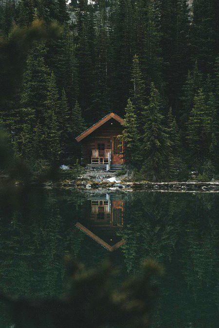 Beautiful Nature image