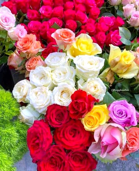 Beautiful Nature image