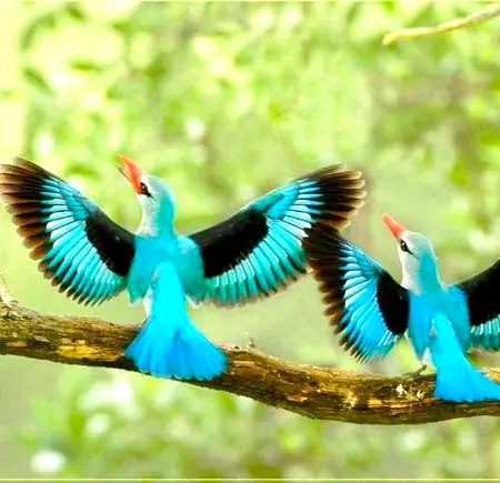 Beautiful Nature image
