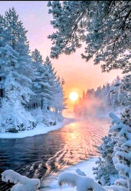 Beautiful Nature image