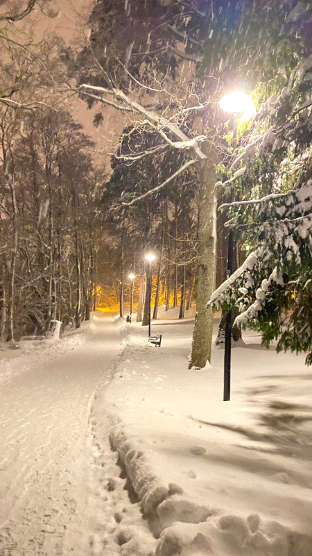 Beautiful Nature image