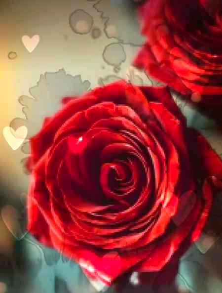 Beautiful Nature image