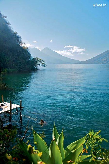 Beautiful Nature image