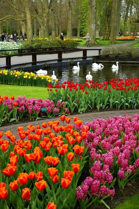 Beautiful Nature image