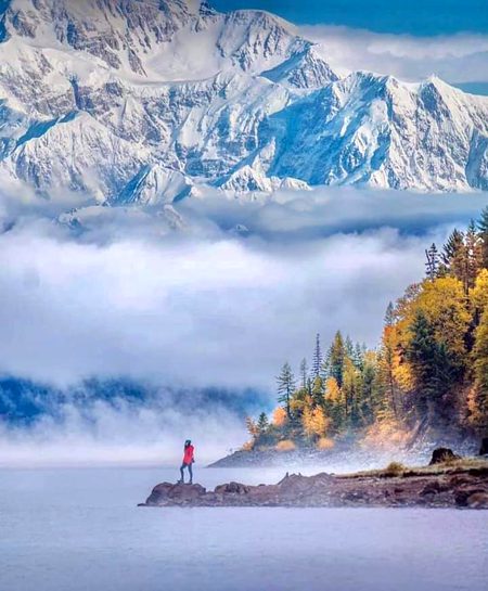 Beautiful Nature image