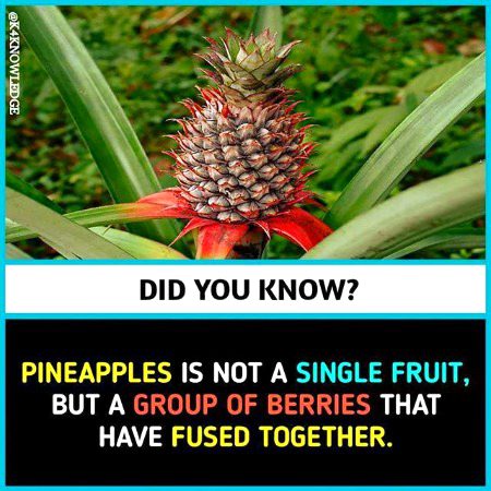 Interesting Posts image