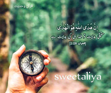 Islamic Quotes image