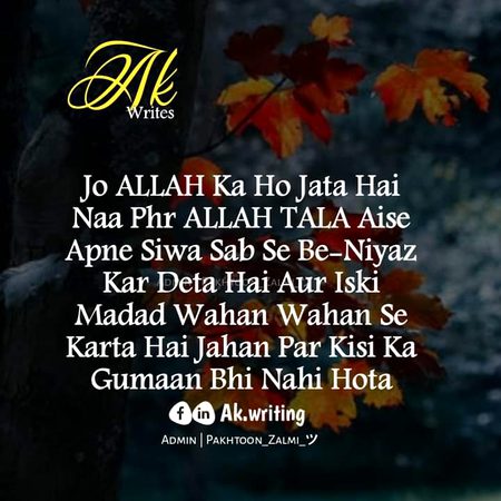 Islamic Quotes image