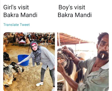 Memes & Satire image