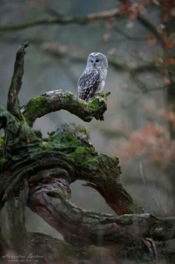 Beautiful Nature image