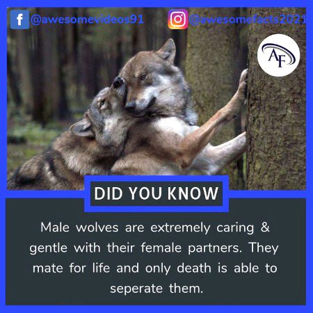 Interesting Posts image