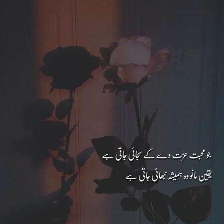 Life Advice image