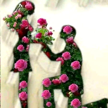 Beautiful Nature image