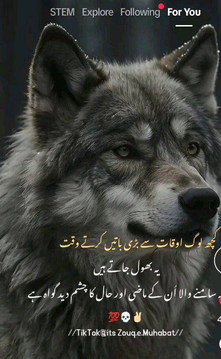 Social media post