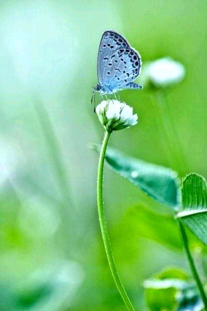 Beautiful Nature image