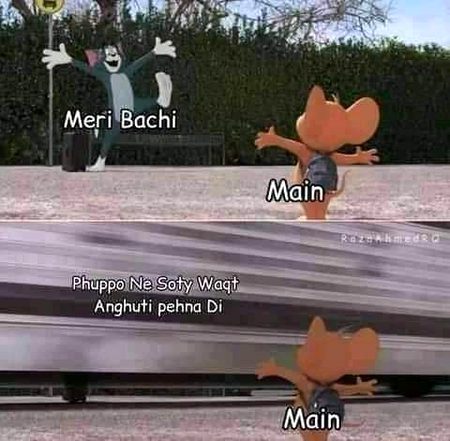 Memes & Satire image