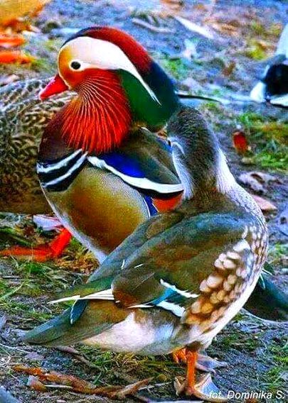 Beautiful Nature image