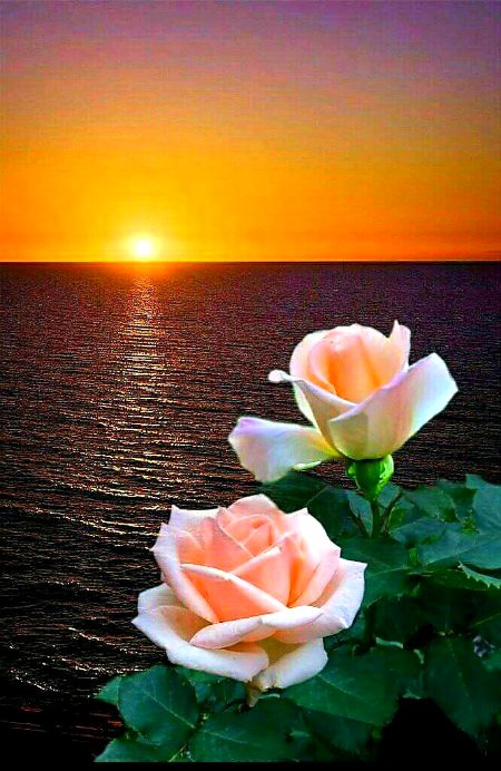 Beautiful Nature image