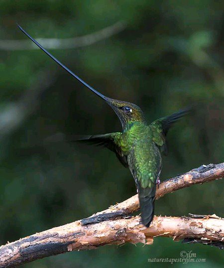 Beautiful Nature image