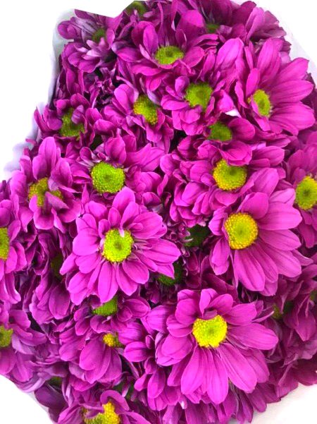 Beautiful Nature image