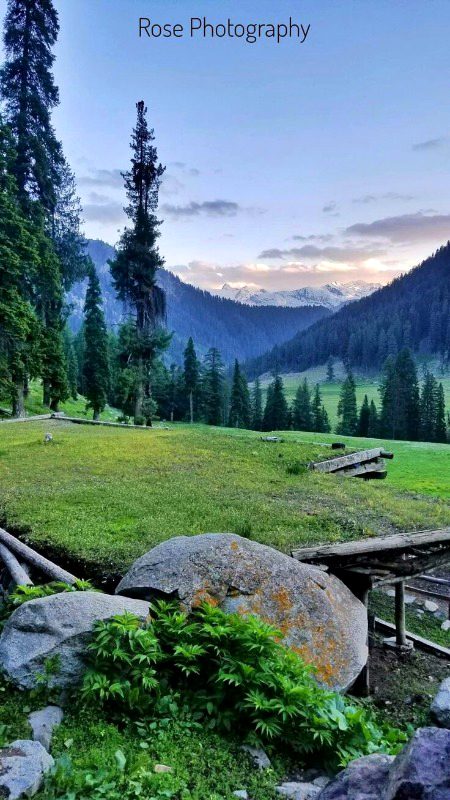 Beautiful Nature image