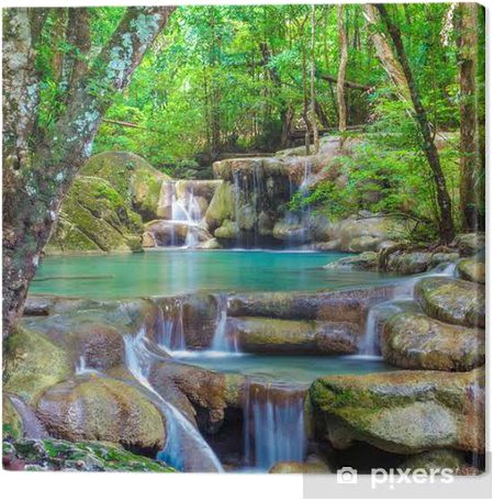 Beautiful Nature image