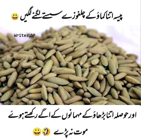 Memes & Satire image