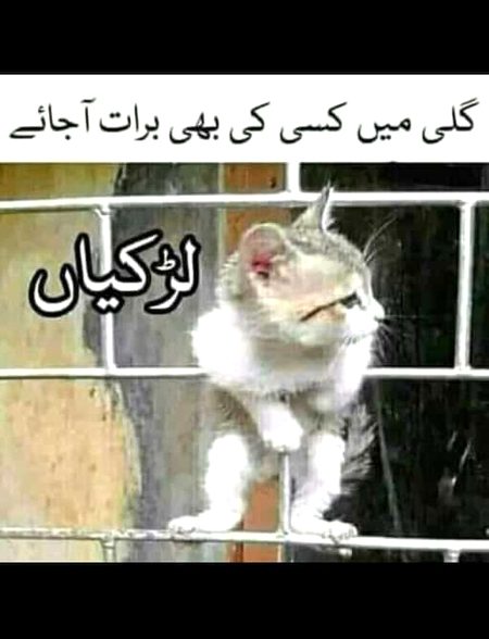 Social media post