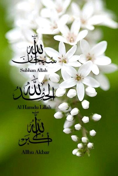 Islamic Quotes image