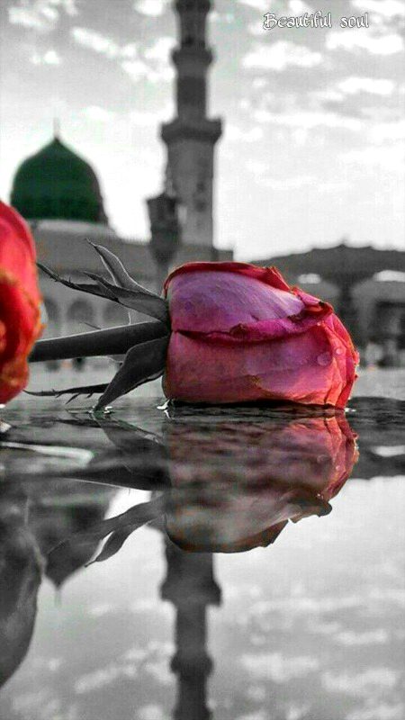 Beautiful Nature image