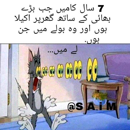 Memes & Satire image