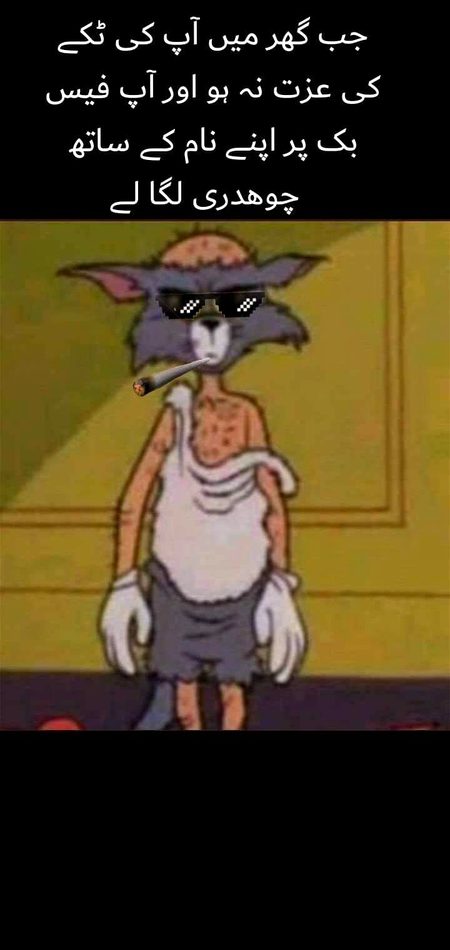 Memes & Satire image