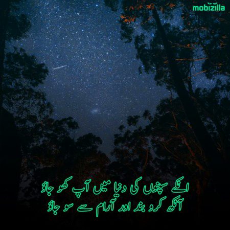 Romantic Poetry image