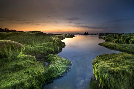 Beautiful Nature image