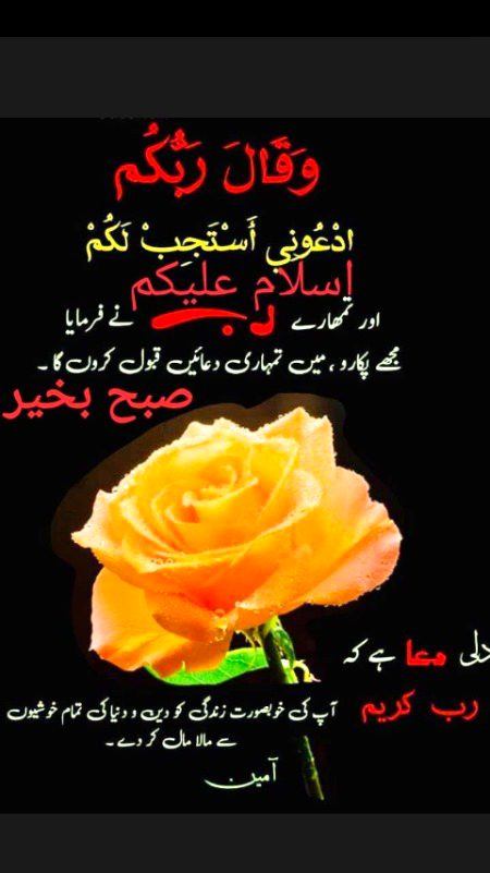 Islamic Quotes image