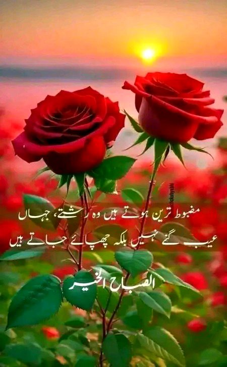 Motivational Quotes image