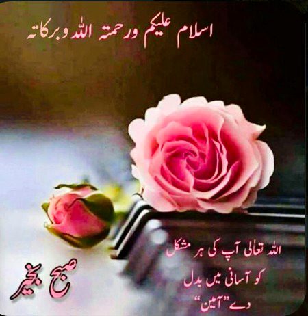 Islamic Quotes image