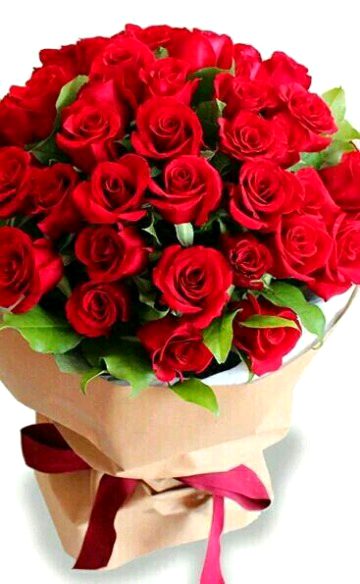 Beautiful Nature image