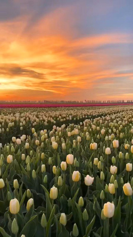 Beautiful Nature image