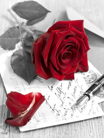 Beautiful Nature image