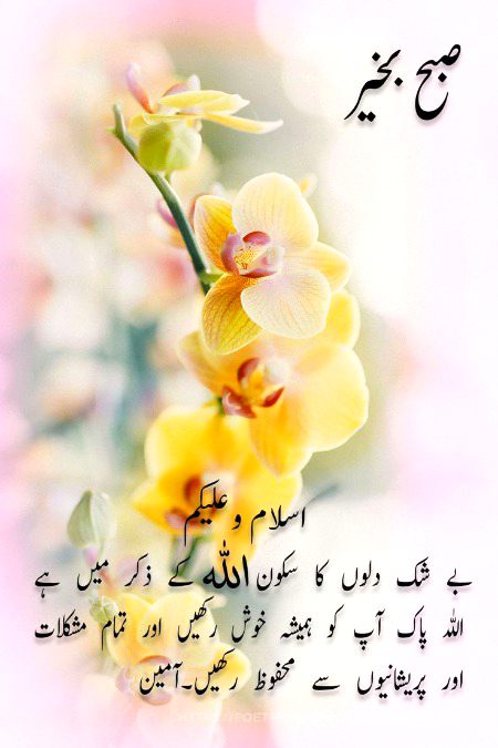 Islamic Quotes image