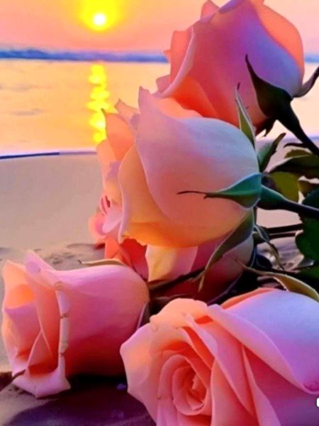 Beautiful Nature image