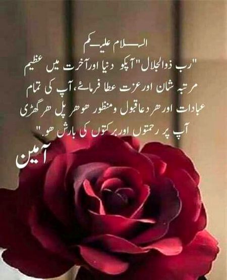 Islamic Quotes image