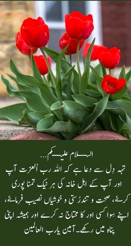 Subha bakhair