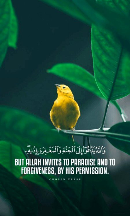 Islamic Quotes image