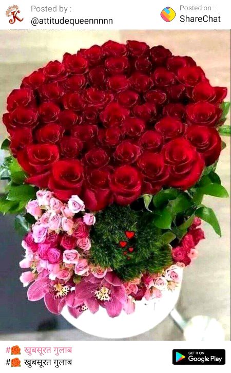 Beautiful Nature image