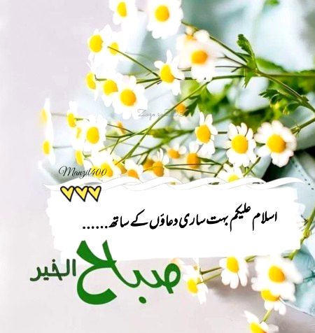 Beautiful Nature image